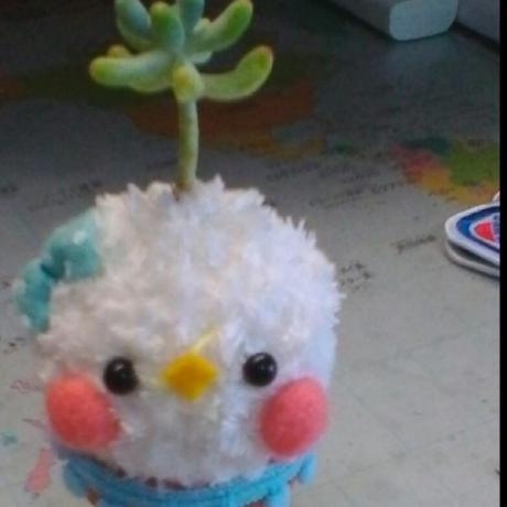 Yuma Satake アイコン